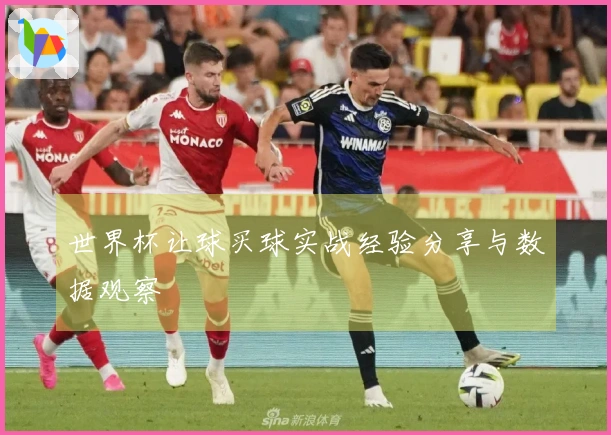 世界杯让球买球实战经验分享与数据观察