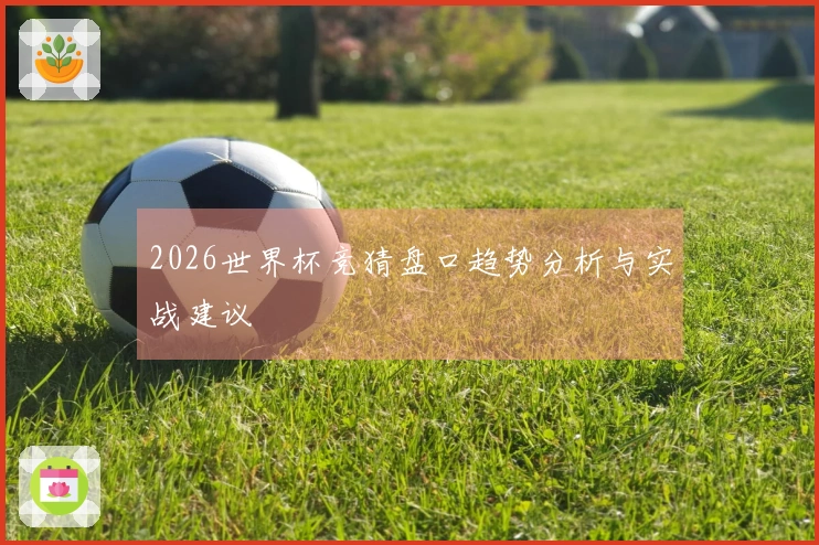 2026世界杯竞猜盘口趋势分析与实战建议