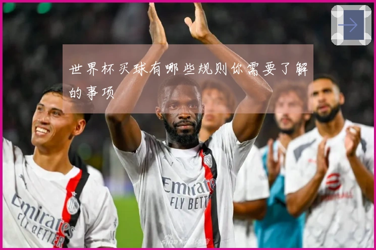 世界杯买球有哪些规则你需要了解的事项