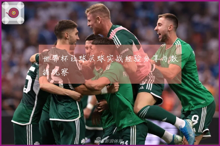 世界杯让球买球实战经验分享与数据观察