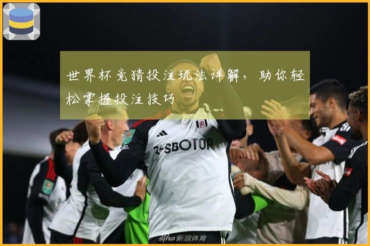 世界杯竞猜投注玩法详解，助你轻松掌握投注技巧