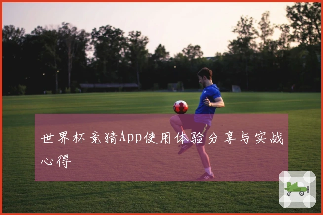 世界杯竞猜App使用体验分享与实战心得