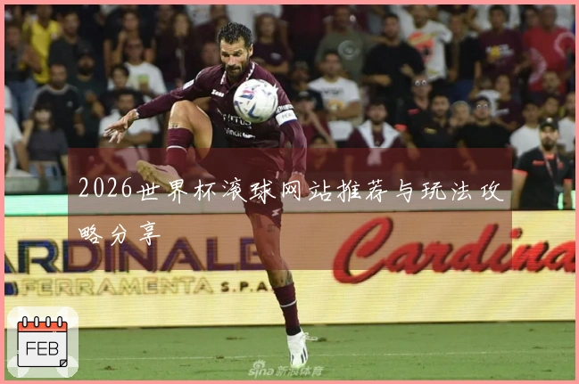 2026世界杯滚球网站推荐与玩法攻略分享