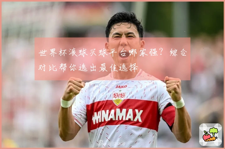 世界杯滚球买球平台哪家强？综合对比帮你选出最佳选择