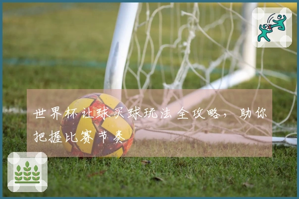 世界杯让球买球玩法全攻略，助你把握比赛节奏